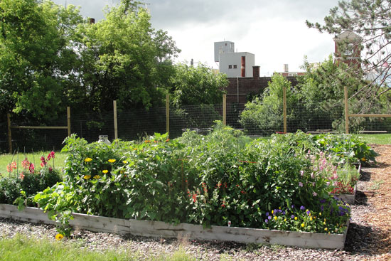 Building Community: Gardening Centers Educate and Boost Local Food ...